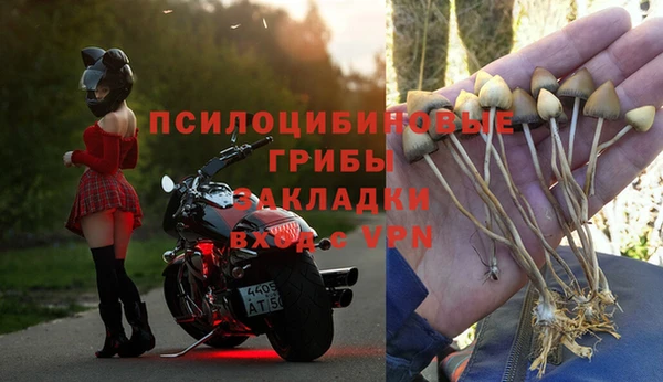 гидра Балабаново