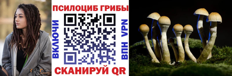 цены наркотик  Кыштым  Псилоцибиновые грибы прущие грибы 